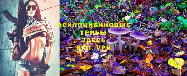 соль курить ск Володарск