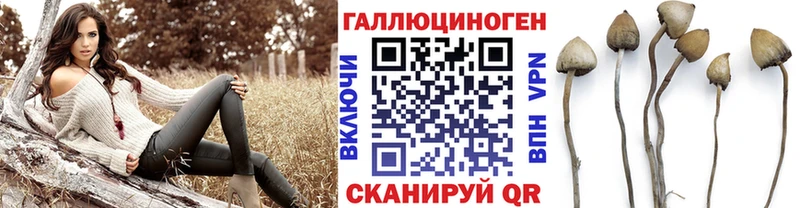 Купить где  Нерехта  Псилоцибиновые грибы мицелий 